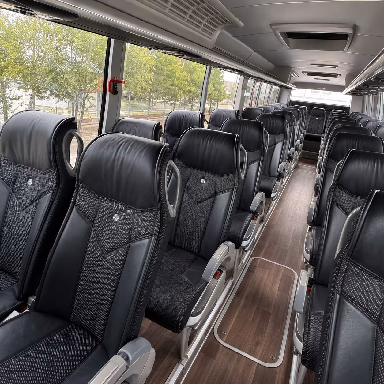 charter buses to natural bridge caverns and hill country science destinations